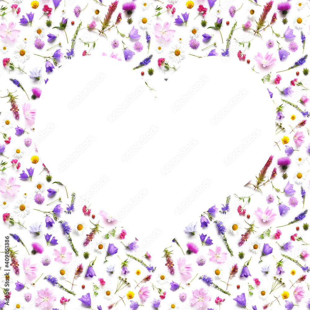 heart-shaped frame from plants, wild flowers isolated on white background, top view. The concept of summer, spring, Mother's Day, March 8. 
