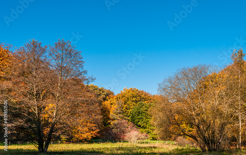 Autumn in the Park by Frederiksborg Castle