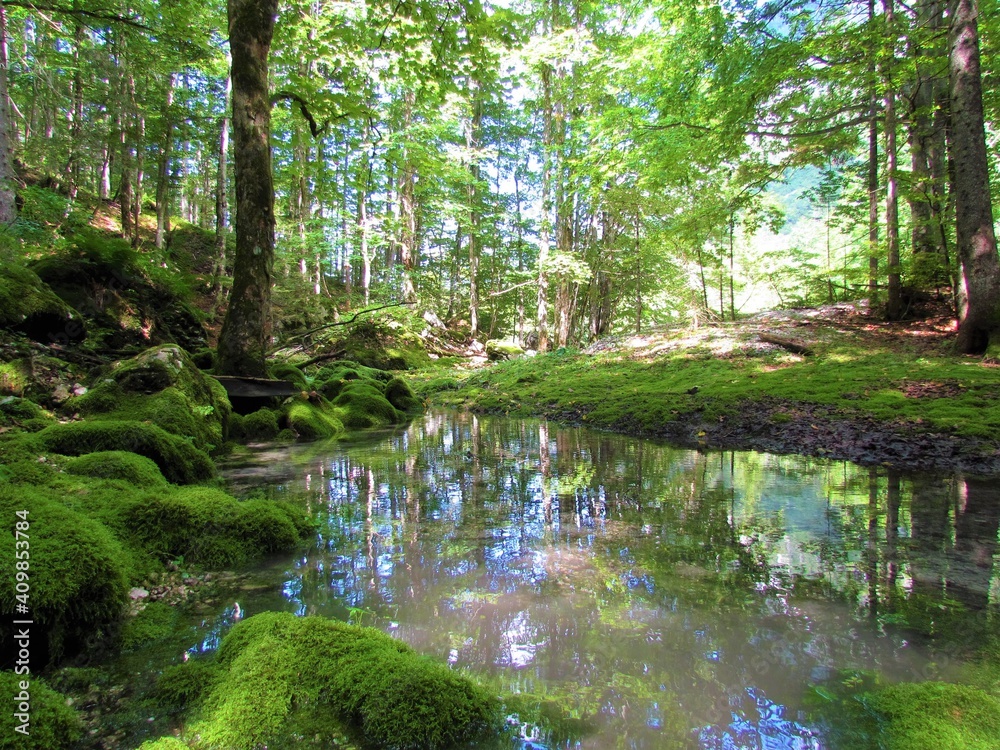Small pond in a forest surrounded by moss covered rocks and a reflection of the trees in water in Slovenia Small pond in a forest surrounded by moss covered rocks and a reflection of the trees in water in Slovenia