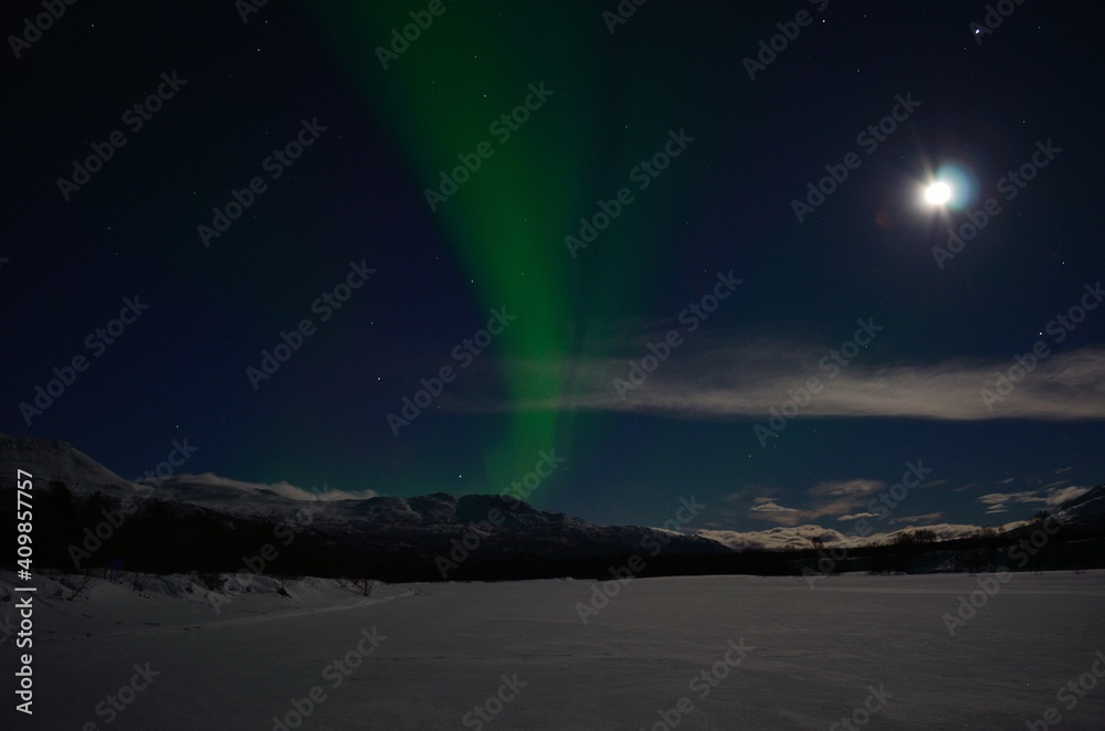 Fototapeta premium aurora borealis, northern light on winter night sky in northern Norway