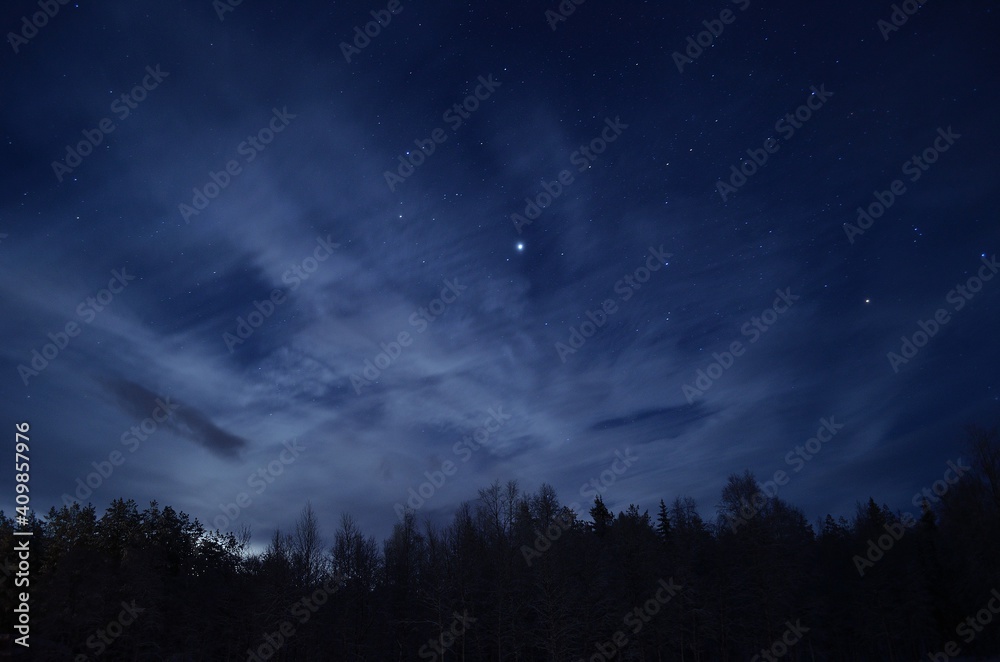 star filled sky over dark forest
