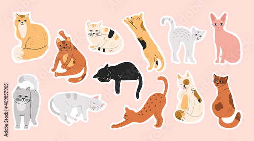 Big bundle of stickers with sleeping, funny, cute cats. Pins set of domestic pets, collection of washing kitty, hand drawn modern flat cartoon illustration in pastel colors isolated on pink background