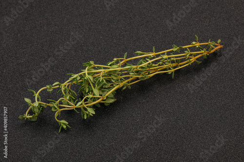 Aroma Fresh green thyme branch