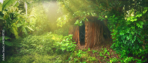 Fototapeta Naklejka Na Ścianę i Meble -  Lush green vegetation in jungle in morning sunlight. Dense tropical forest. Abandoned hut in jungle.