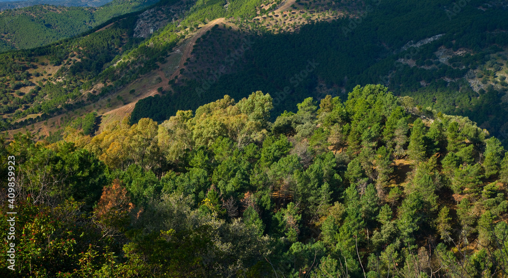 Parque Natural Sierra de Cardeña y Montoro,Cordoba, Andalucía, España Parque Natural Sierra de Cardeña y Montoro,Cordoba, Andalucía, España