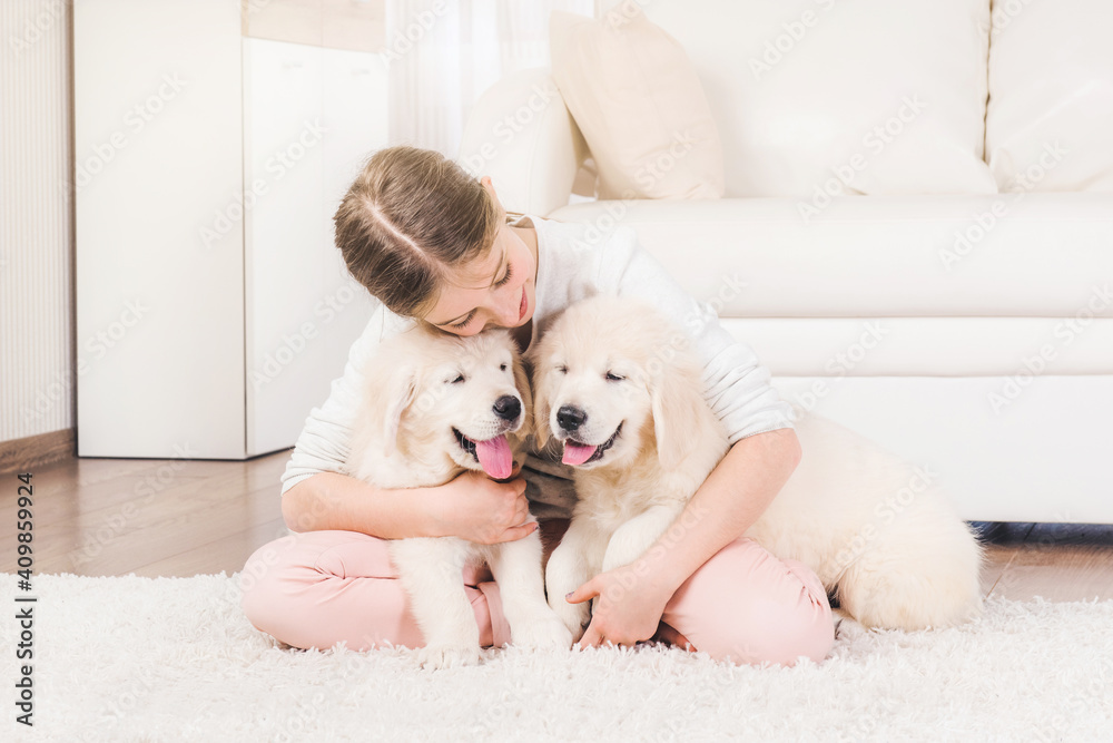 Smiling girl sit hugging cute fluffy retriever puppies on carpet at home Smiling girl sit hugging cute fluffy retriever puppies on carpet at home