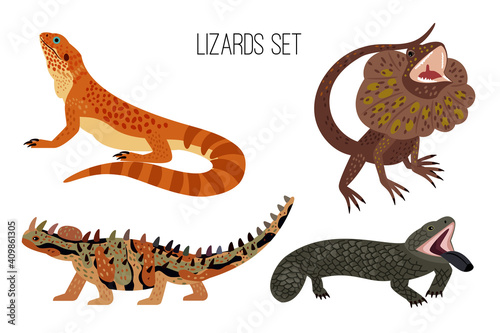 Colorful lizards. Cartoon crawling australian reptiles with tail  exotic animals of zoo  vector illustration set of ancient lizard isolated on white background