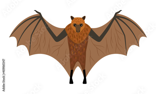 Flying fox. Cartoon exotic night animal, intimidating creature, symbol of fear, vector illustration of horror character isolated on white background
