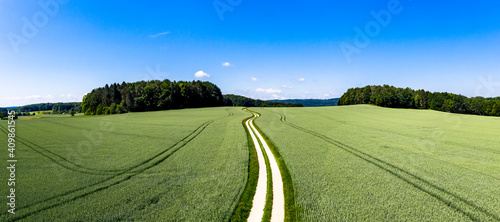 Aerial view  Germany  Bavaria  curved dirt road in a grain field