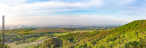 view to Vienna skyline, in early morning light