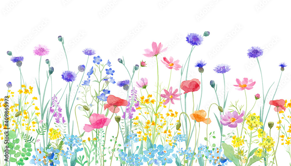 色々な花が咲き乱れる 春の野原の水彩イラスト 横方向シームレスパターン Stock Illustration Adobe Stock