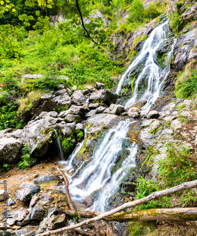 Fototapeta premium Todtnau Waterfall in the Black Forest Mountains, Germany