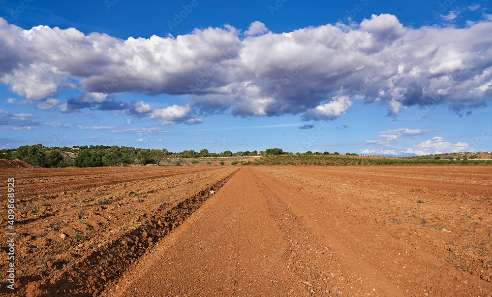 Cultivating the soil on Mallorca