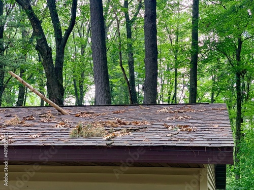 Tree branch punctures roof