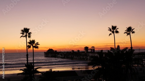 Palms silhouette on twilight sky  California USA  Oceanside pier. Dusk gloaming nightfall atmosphere. Tropical pacific ocean beach  sunset afterglow aesthetic. Dark black palm tree  Los Angeles vibes.