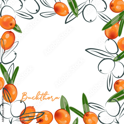 Color frame of sea buckthorn on a white background.