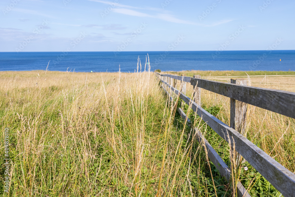 South Shields UK: 29th July 2020: fields and fence at coastline on a summer day