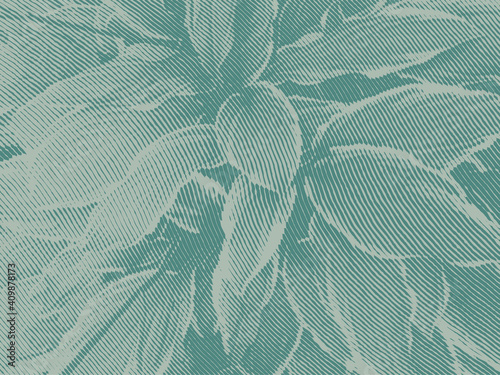 Background with engraved leafs in woodcut style.