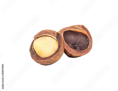 Open macadamia nut