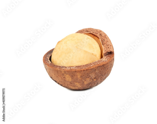 Open macadamia nut
