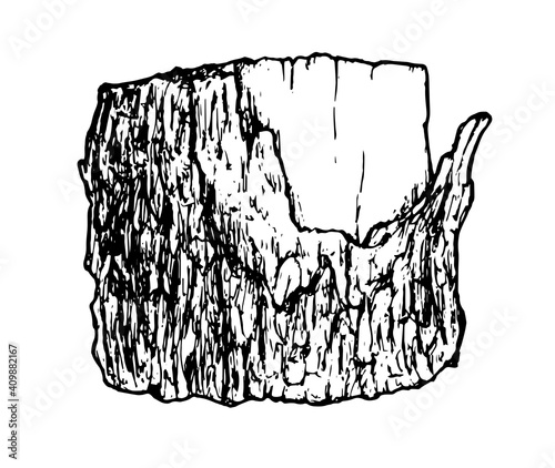 Sketch a stump in a hand-drawn tree in a realistic style. sawn tree side view bark black outline on white background isolated element for your design template