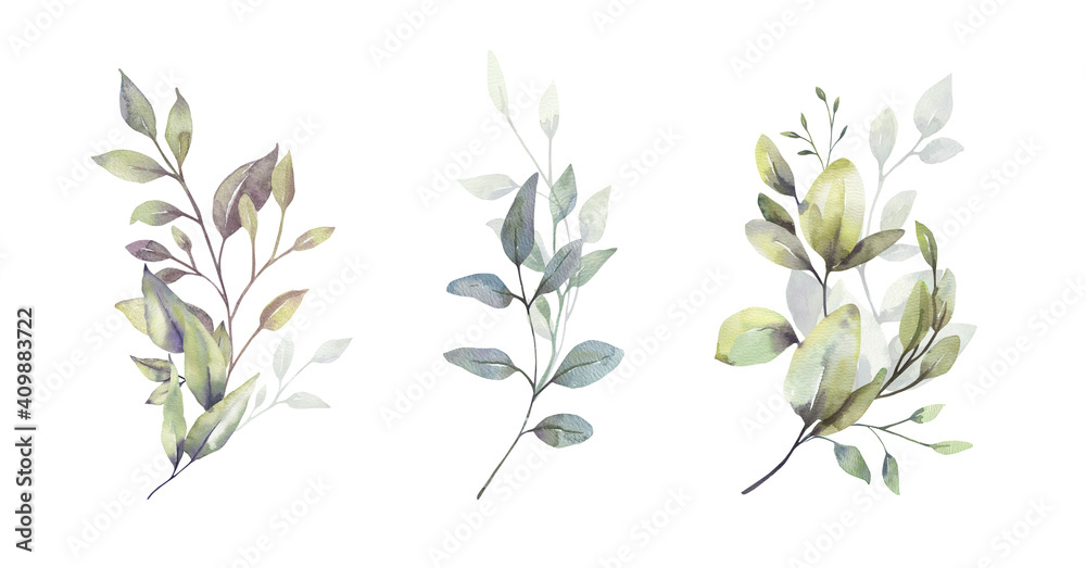 Watercolor floral illustration set - green leaf branches bouquets collection, for wedding stationary, greetings, wallpapers, fashion, background. Eucalyptus, olive, green leaves, etc. High quality