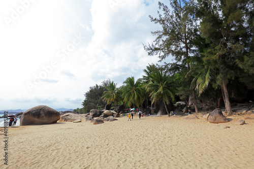 Natural scenery of tall coconut trees in Sanya tourist area, Sanya City, Hainan Province, China