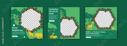 World Wildlife Day. Social media templates for World Wildlife Day. Education to get to know wildlife. Sustaining all life on earth.