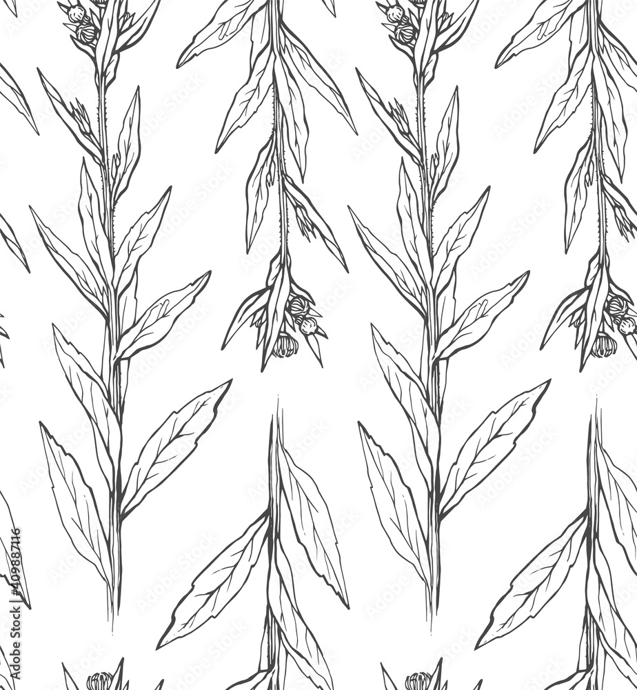Naklejka premium Seamless pattern with hand drawn wild flower with leaves. Vector illustration. Botanical pattern for textiles and wallpapers.