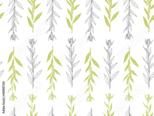 Seamless pattern with hand drawn wild flower with leaves. Vector illustration. Botanical pattern for textiles and wallpapers.