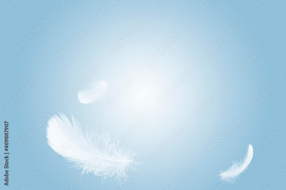 Light white feather floating in the sky.
Light white feather floating in the sky.