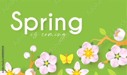 Spring background with soft flowers, bees and butterflies. Spring is coming design with apple and cherry blossom branch