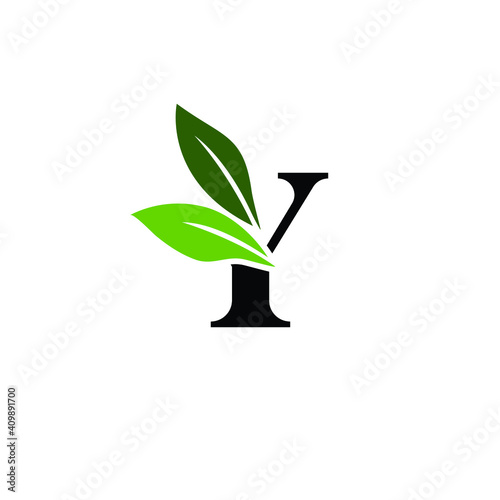 Letter Y Logo with Green Leaves, Nature Logo/Icon Design Template.