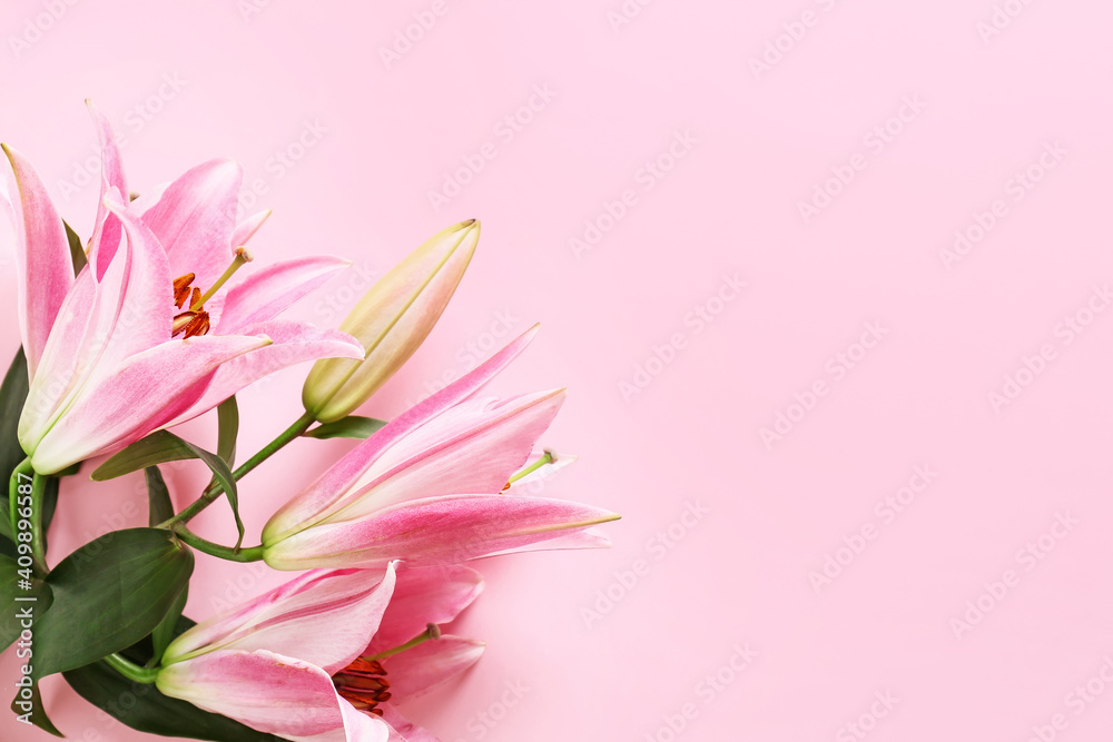 Beautiful lilies on color background