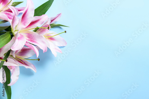 Beautiful lilies on color background photo