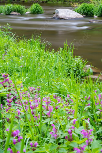 river Sazava near Smrcna, Czech Republic