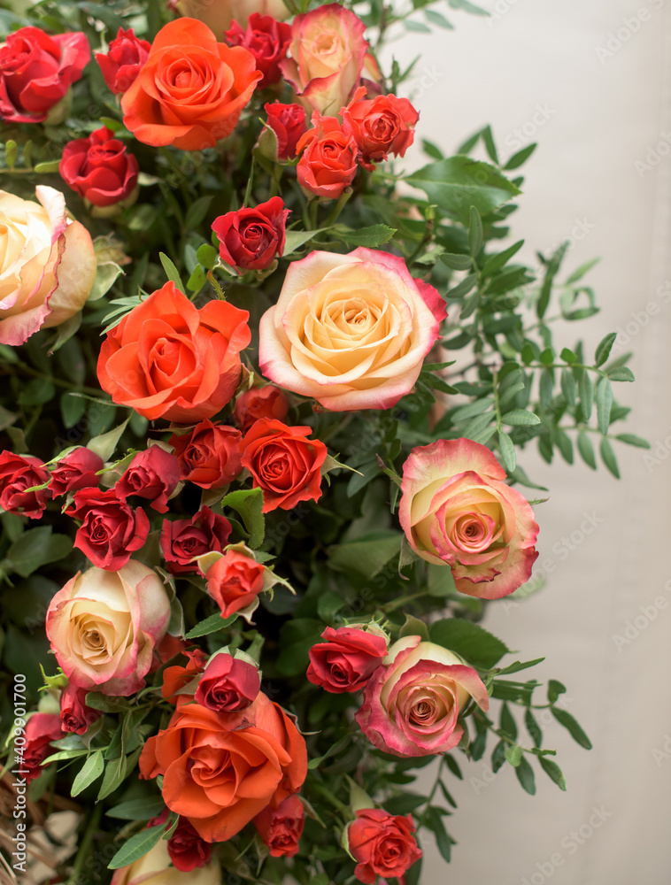 Bouquet of red, orange, yellow roses- a composition of multi-colored roses. Background for a postcard. Bouquet of red, orange, yellow roses- a composition of multi-colored roses. Background for a postcard.