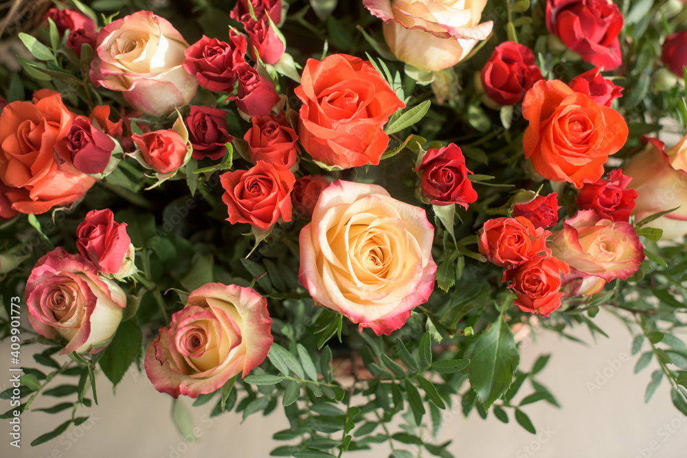 Bouquet of red, orange, yellow roses- a composition of multi-colored roses. Background for a postcard. Bouquet of red, orange, yellow roses- a composition of multi-colored roses. Background for a postcard.