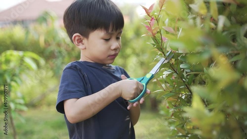 Asian mother helping her 5 years old son cutting Christina tree branch for potting photo