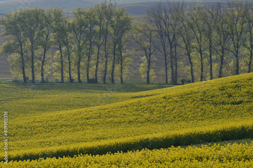 Spring fields in Kyjov region of Moravia, Czech Republic