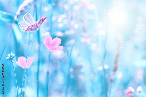 Beautiful wildflowers, butterfly in the dreamy meadow. Delicate pink and blue colors pastel toned. Shallow depth macro background. Nature floral springtime