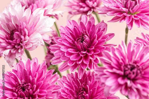 A close-up shot of a dahlia in full bloom