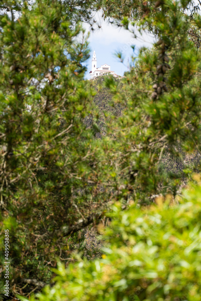 le Cerro de Monserrate à travers la nature, Bogota, Colombie le Cerro de Monserrate à travers la nature, Bogota, Colombie