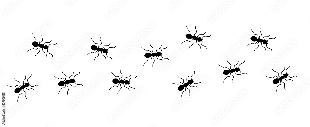 Ant vector trail marching illustration. Ant bug pest control background teamwork - obrazy, fototapety, plakaty 