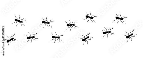 Ant vector trail marching illustration. Ant bug pest control background teamwork