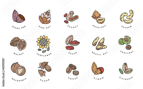 Vector icon and logo for nuts and seeds. Editable outline stroke size. Line flat contour, thin and linear design. Simple icons. Concept illustration. Sign, symbol, element.