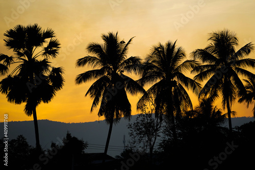 Beautiful sunset tropical beach with palm tree and golden sky and the smoky soot produced by farmers  weed burning. All of these things cause toxic pollution.