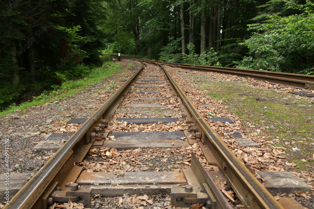 Railroad tracks in the forest of Beniowa - former and abandoned village in Bieszczady Mountains, Poland Railroad tracks in the forest of Beniowa - former and abandoned village in Bieszczady Mountains, Poland