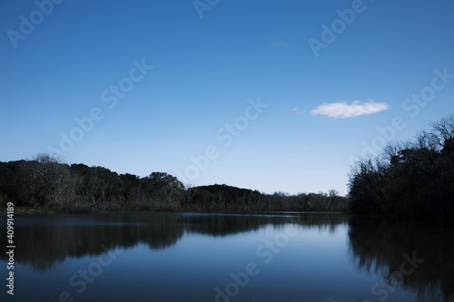 reflection of trees