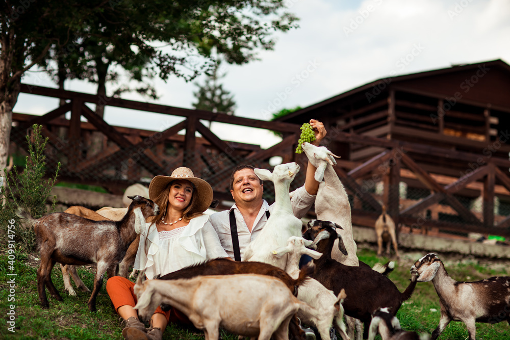 happy family, a man and a woman in a hat, relaxing and laughing on a farm, surrounded by goats, on a sunny day happy family, a man and a woman in a hat, relaxing and laughing on a farm, surrounded by goats, on a sunny day